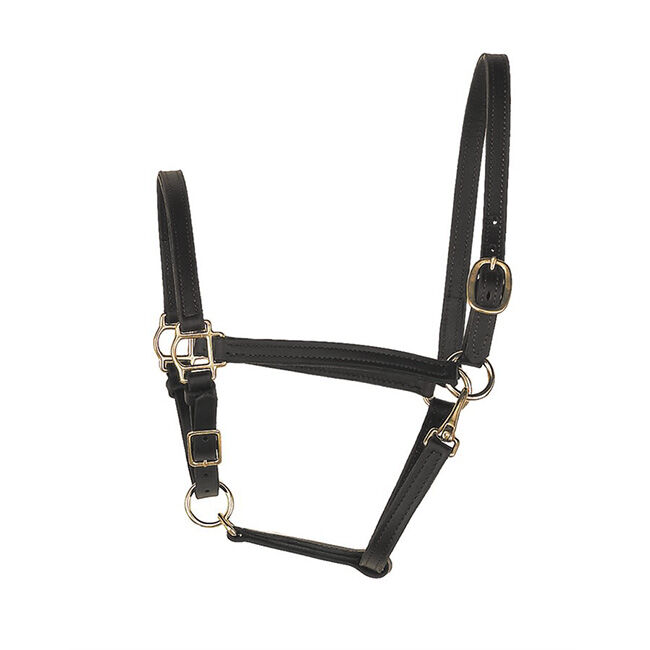 Perri's Leather 3/4'' Leather Turnout Halter image number null