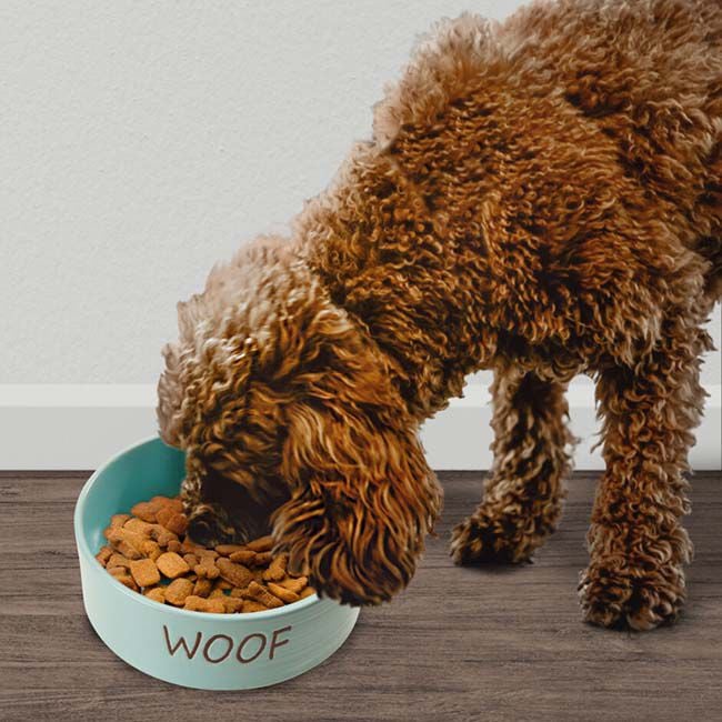 Spot Portofino Dog Dish - Sky Blue image number null