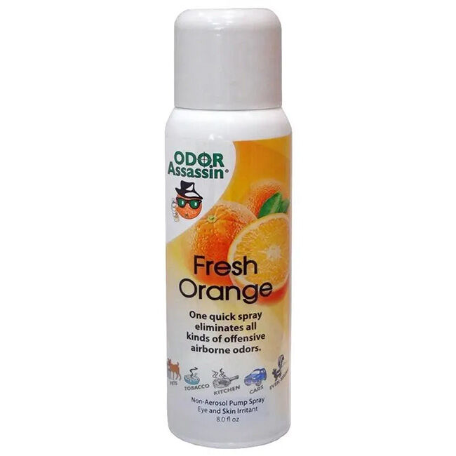 Odor Assassin Spray - Fresh Orange - 8 oz image number null