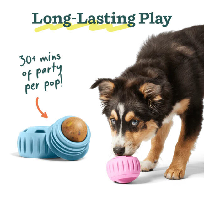 Woof Pupsicle Refill Pops - Birthday Recipe image number null