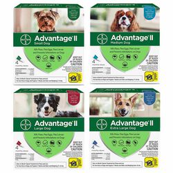 Advantage II Flea & Tick Topical for Dogs
