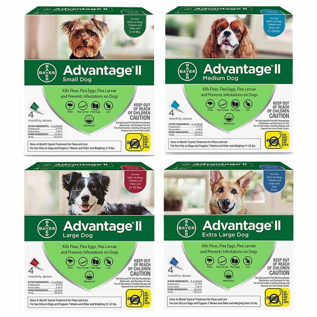 Bayer Advantage II Dog Flea and Tick Topical image number null