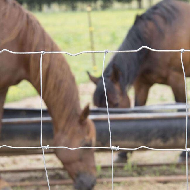 FarmGard Non-Climb Galvanized Steel Horse Fencing image number null