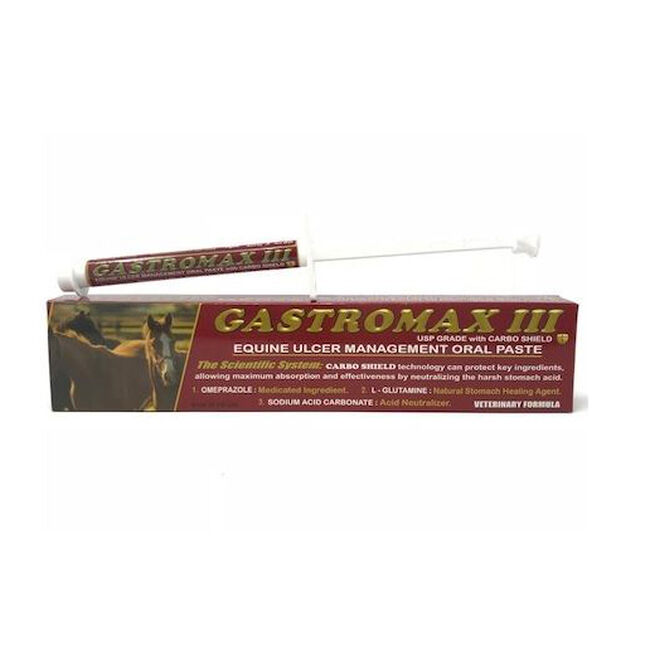 GastroMax3 Paste - Single Syringe image number null