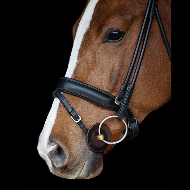 Acavallo Classic Gel Contoured Bit Guards image number null