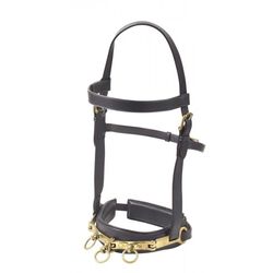 Camelot Leather Lunge Caveson
