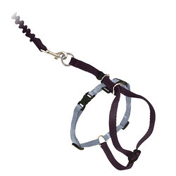 PetSafe Come with Me Kitty Harness & Bungee Leash - Black/Silver