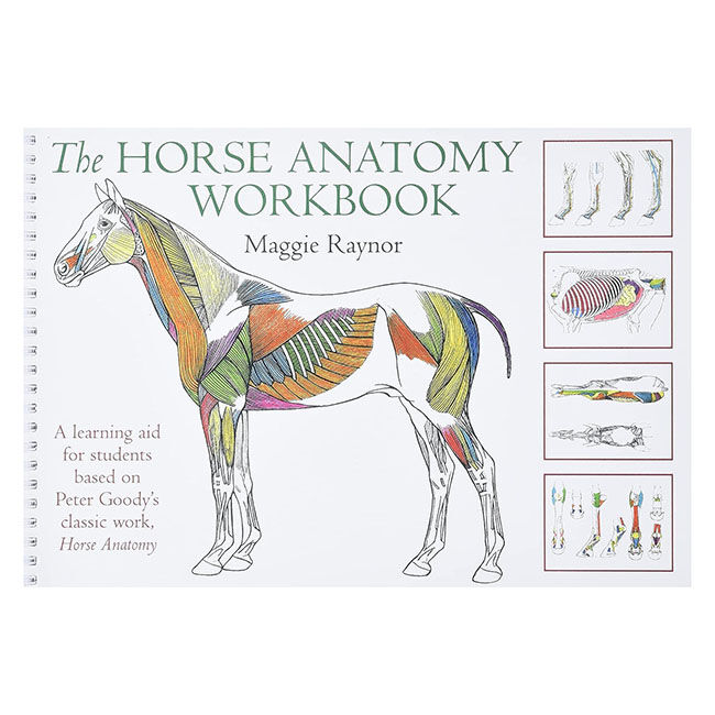 Horse Anatomy Workbook: A Learning Aid for Students Based on Peter Goody's Classic Work, Horse Anatomy image number null