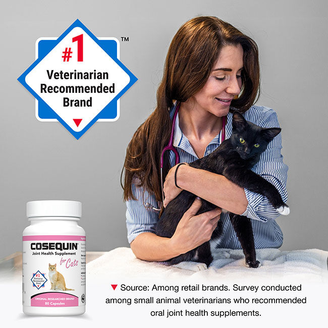 Nutramax Cosequin for Cats Joint Health Supplement, Contains Glucosamine for Cats, Chondroitin, and Omega-3s - Sprinkle Capsules - 80 Capsules image number null