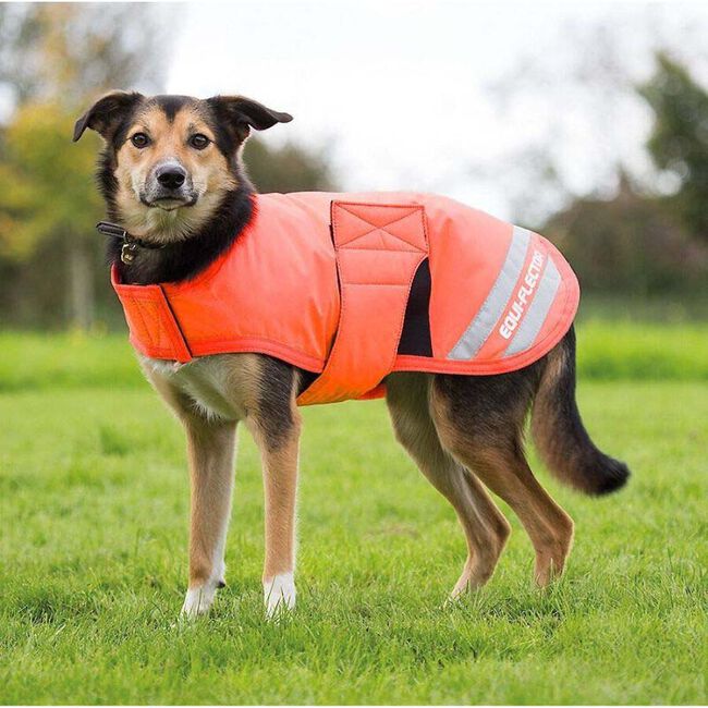 Shires EQUI-FLECTOR Waterproof Dog Coat - Equi-Flector Orange image number null