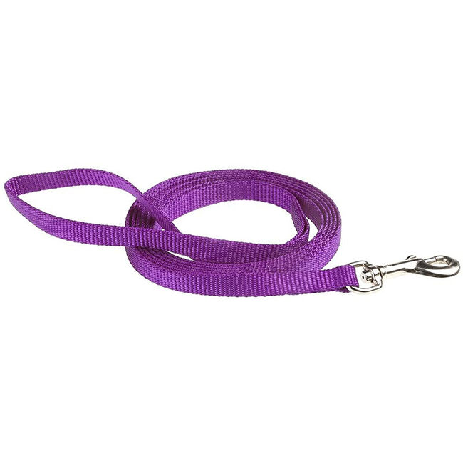 RC All Webbing Training Collar - Pitter Patter Camo image number null