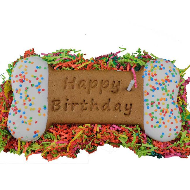 Preppy Puppy XXL Birthday Bone Gourmet Dog Treat image number null