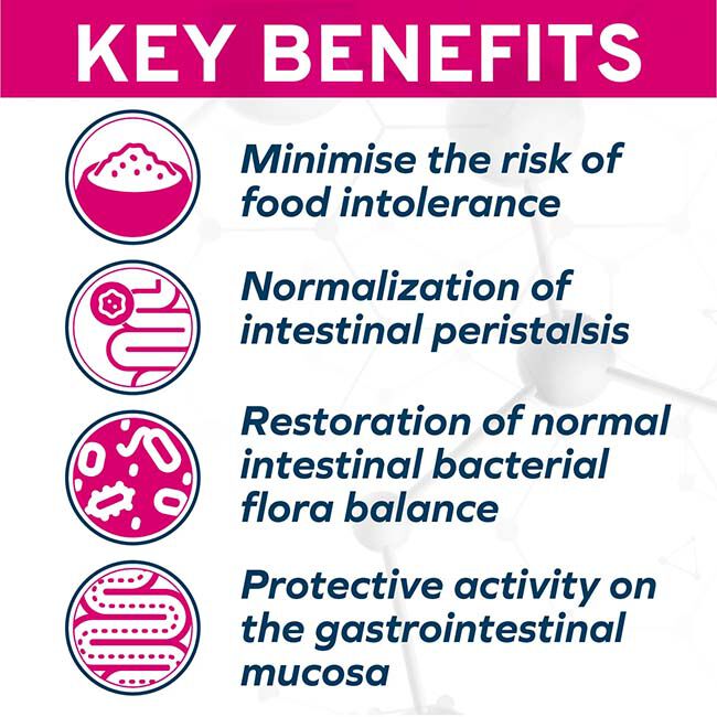 Forza10 Nutraceutic Active Dog Food - Intestinal Support Diet image number null