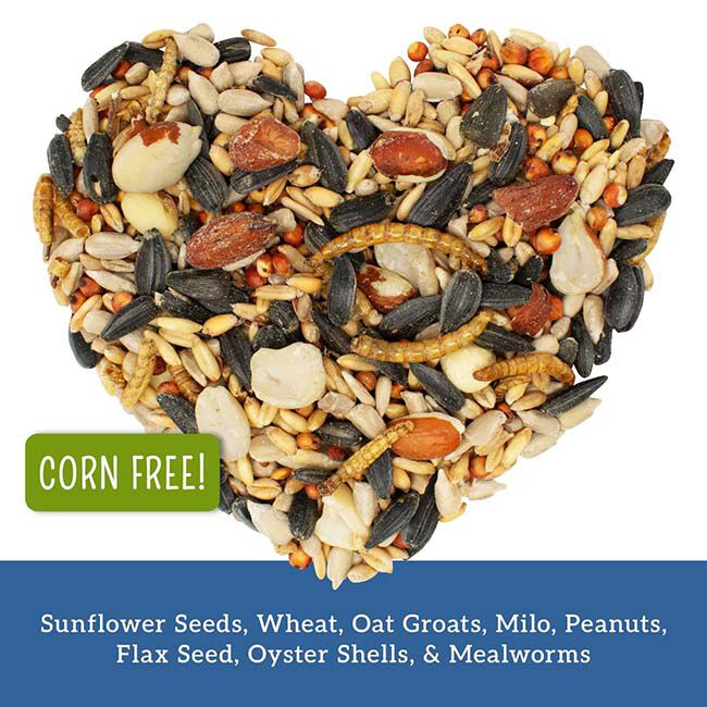 Love My Girls Gourmet Multi-Grain Chicken Snacks - Flax & Worms - 5 lb image number null