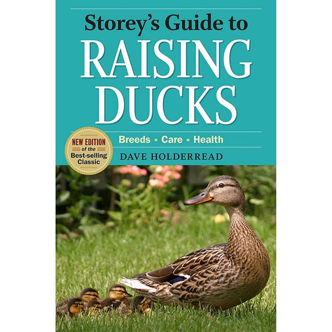 Storey's Guide to Raising Ducks: Breeds, Care & Health, 2nd Edition image number null