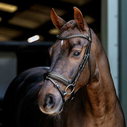 LeMieux Arika Dressage Bridle - Black/Silver