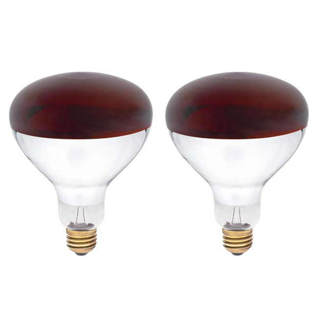 Westinghouse 250W R40 Infrared Heat Lamp - 2-Pack image number null