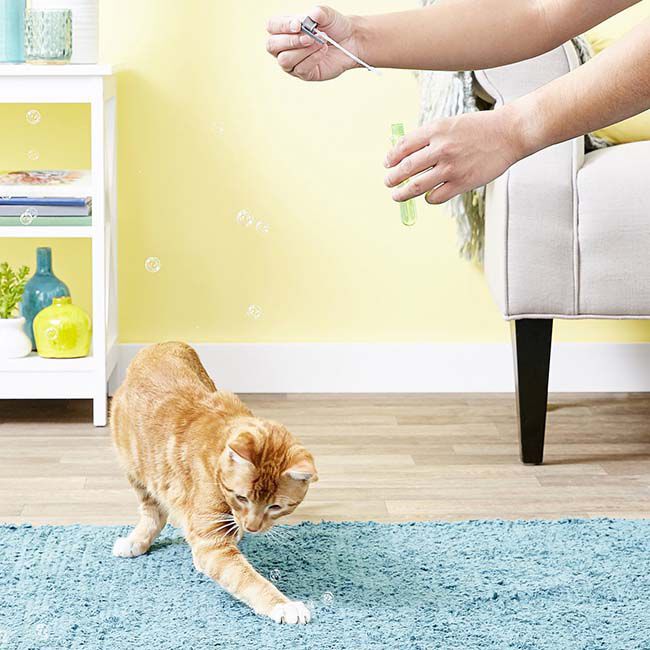Pet Qwerks IncrediBubbles for Cats - Infused with Catnip - 25 mL image number null