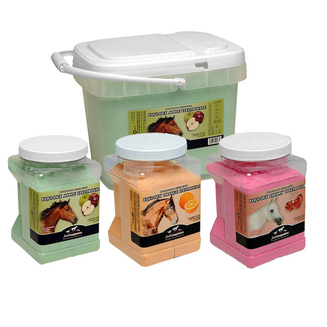 First Companion Veterinary Equi-Dex Electrolyte Powder image number null