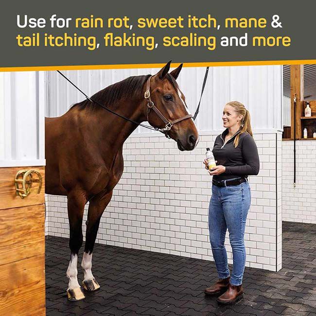 Absorbine Silver Honey Rapid Skin Relief Soothing Conditioner - 16 oz image number null