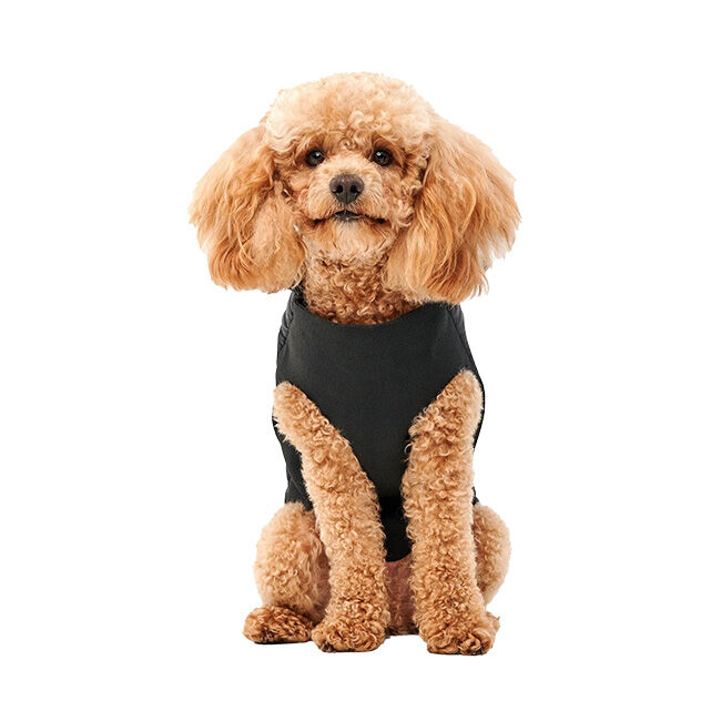 Goo-eez Mock Neck Signature Wrap Jacket for Dogs - Black image number null