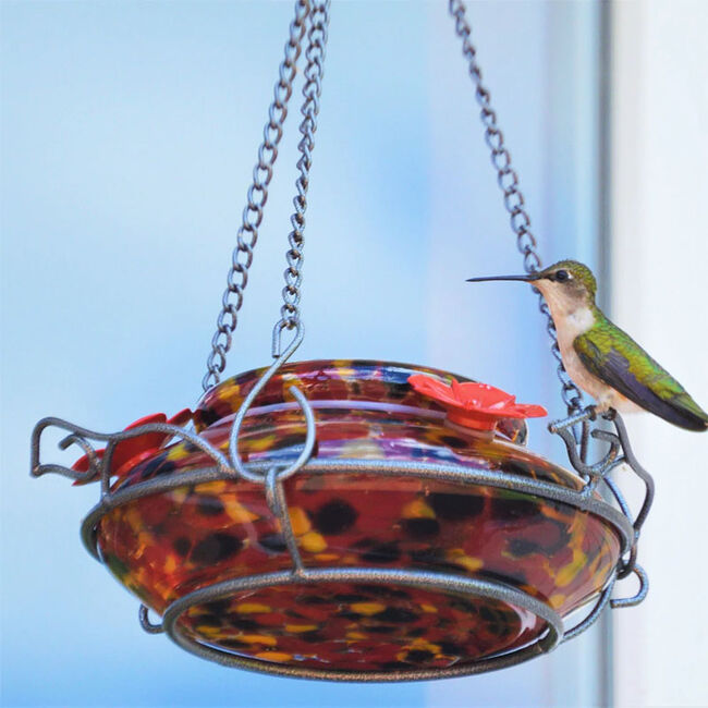 Nature's Way Blown Glass Hummingbird Feeder - Molten image number null