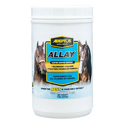 Adeptus Allay - Gastric Buffering Support