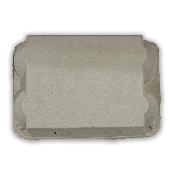 EggCartons.com Goose 6-Egg Recycled Pulp Carton image number null