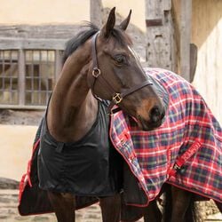 Shires Satin Anti-Rub Bib - Black