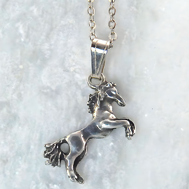 Finishing Touch of Kentucky Necklace - Rearing Fluffy Tail Horse - Retro Silver image number null