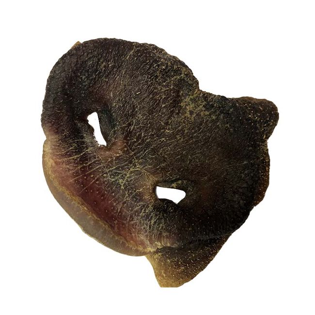 Chasing Our Tails USA Smoked Pig Snout image number null