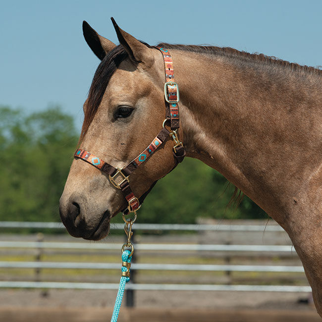 Weaver Equine Adjustable Patterned Halter - Lost Creek image number null