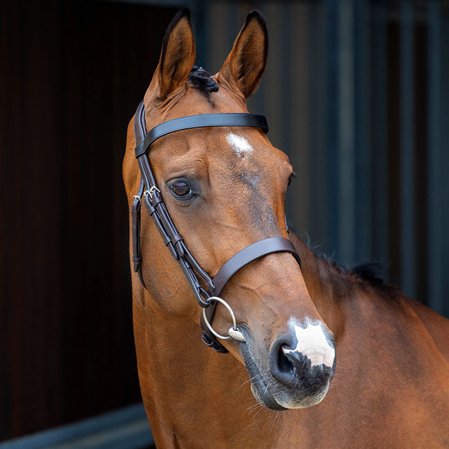 Shires Velociti Lusso Hunter Cavesson Bridle image number null