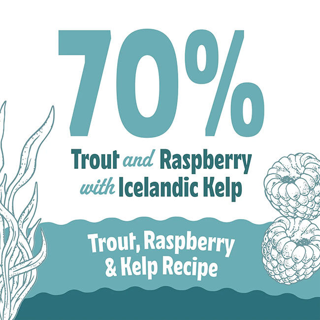 Icelandic+ Soft & Chewy Bites for Cats - Trout, Raspberry & Kelp Recipe - 1.8 oz image number null