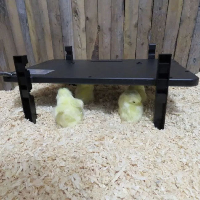 Farm Innovators 2-in-1 Radiant Coop Panel & Brooder Heater image number null