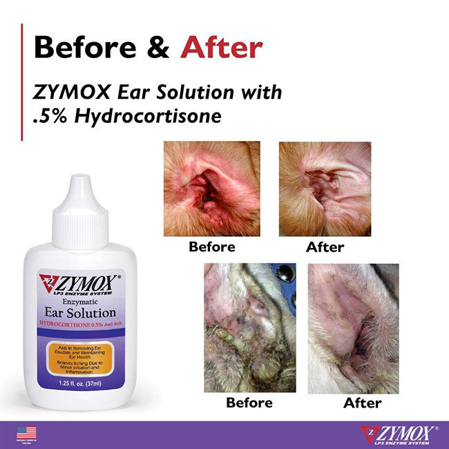 ZYMOX Enzymatic Ear Solution with 0.5% Hydrocortisone - 1.25 oz image number null