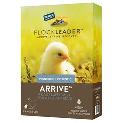 FlockLeader Arrive, Probiotic + Prebiotic Supplement for Young Chickens