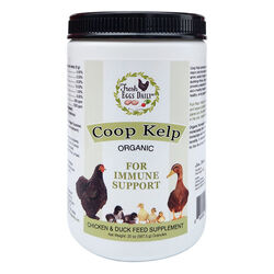 Fresh Eggs Daily Coop Kelp - Organic Immune Support - 20 oz
