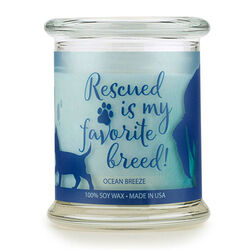Pet House Candle Ocean Breeze Candle