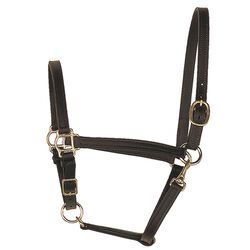 Perri's 3/4'' Leather Turnout Halter