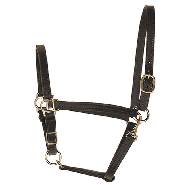 Perri's 3/4'' Leather Turnout Halter Havana image number null