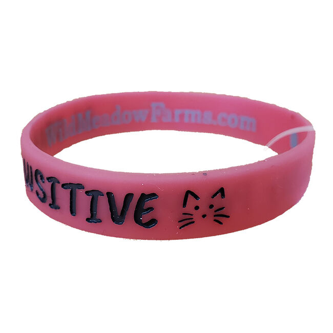 Wild Meadow Farms Fur Baby Bands ""Stay Pawsitive"" Pink" image number null