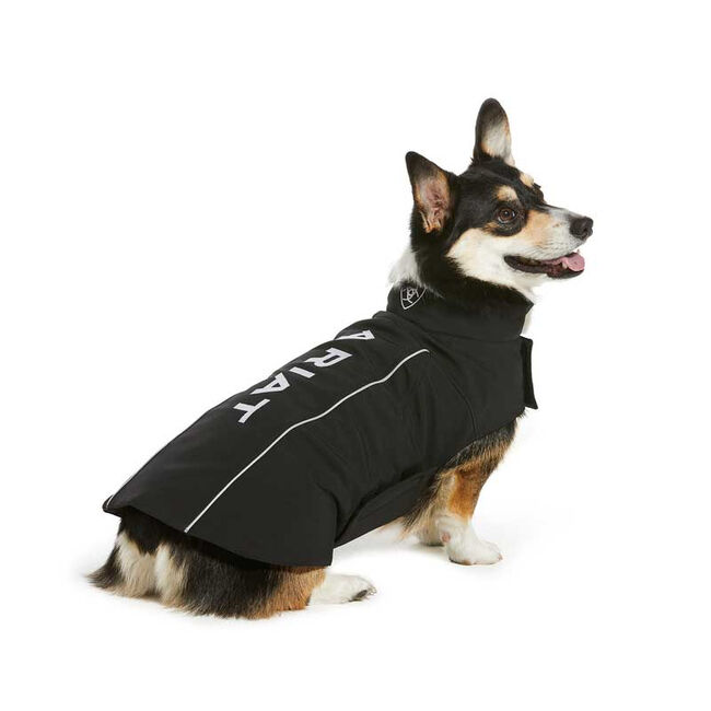 Ariat Team Softshell Dog Jacket - Black image number null