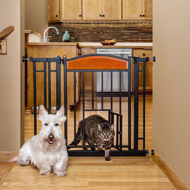 Carlson Design Paw Easy Close Walk Thru Pet Gate with Small Pet Door The Cheshire Horse