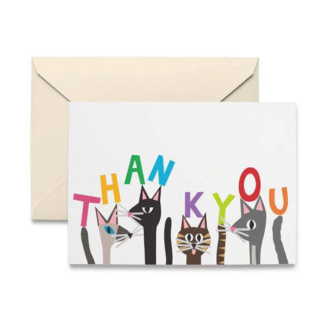 R. Nichols Cat Pack Thank You Notecards - 10-Count image number null