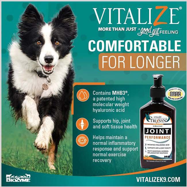 Vitalize Trixsyn K9 - Canine Joint Performance - 6 oz image number null