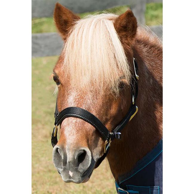 Shires Topaz Mini Nylon Halter image number null