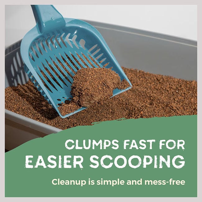 Naturally Fresh Quick-Clumping Walnut Shell Cat Litter image number null