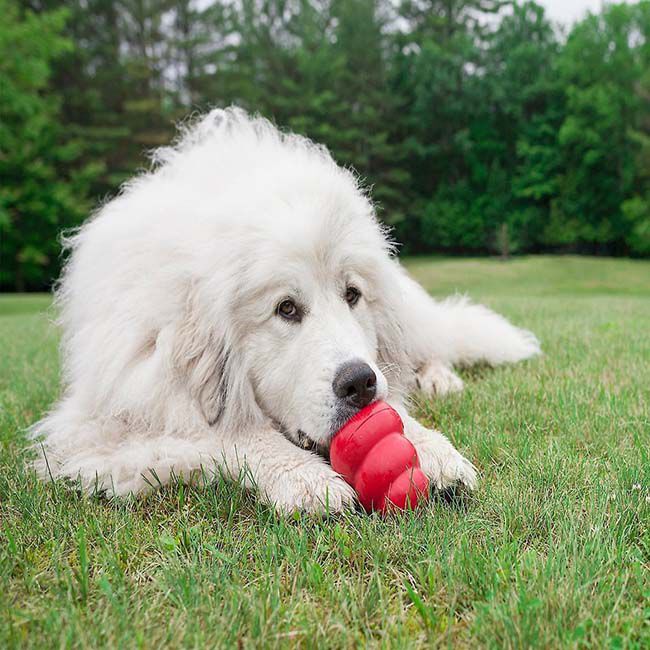 Kong Classic Dog Toy image number null