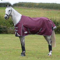 WeatherBeeta ComFiTec Plus Dynamic II Standard Lite - Maroon/Grey